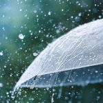 Compass Will Open on Time Today (Dec 3)